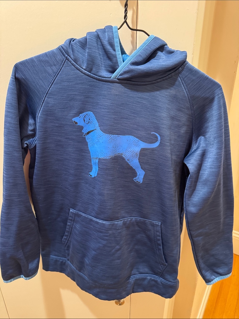 Kids Black Dog blue pullover hoodie
